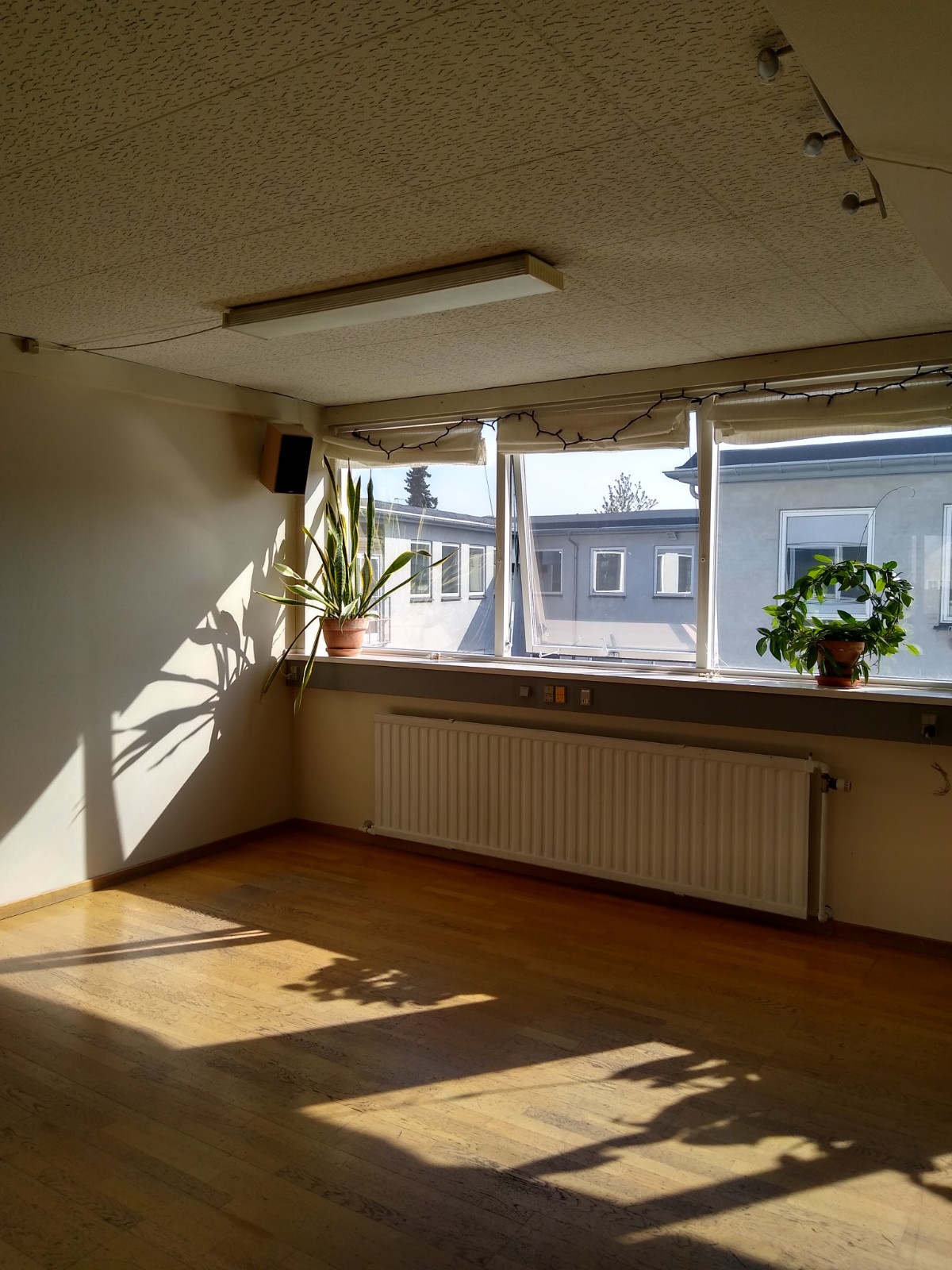 IMG 20240501 094727777 HDR